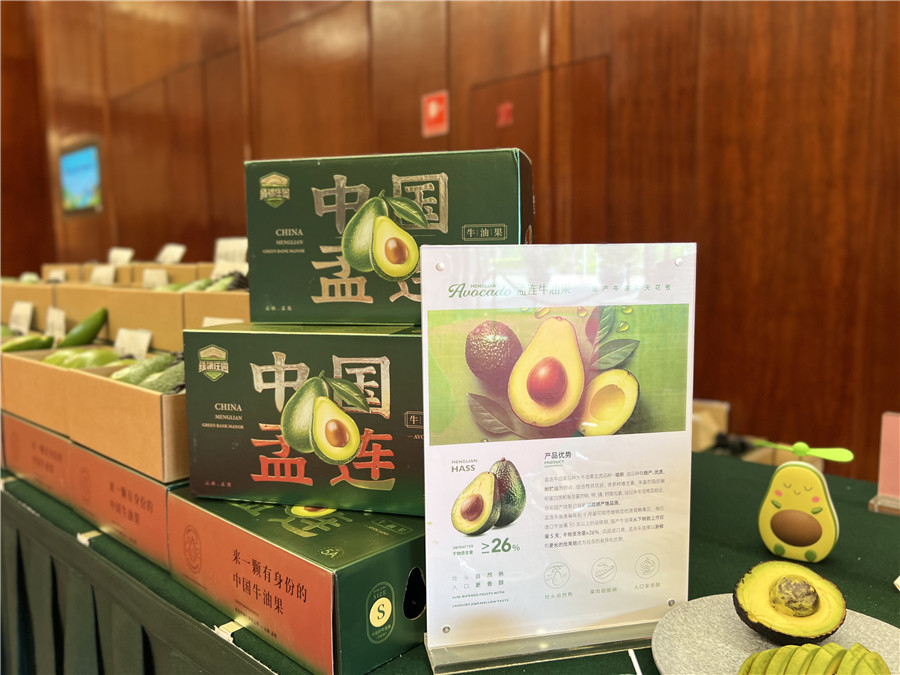 文化新观察｜景迈山上，茶香千年-