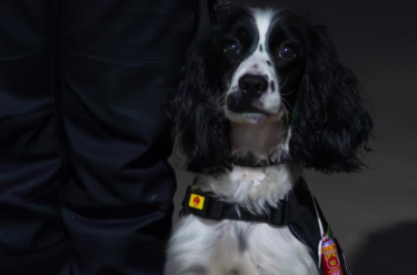 华联锌铟:由表及里 向“绿”而行