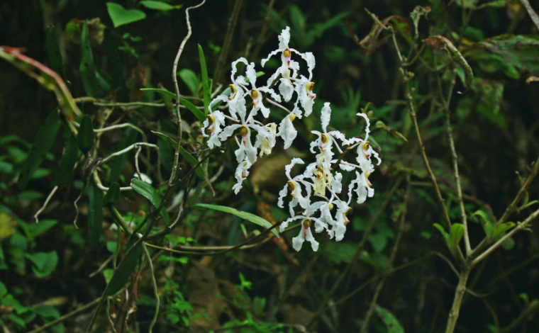 云岭大地满溢书香-眼下，新型公共