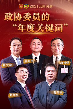 【2021云南两会】政协委员的“年度关键词”