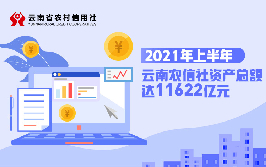 2021年上半年云南农信社资产总额达11622亿元