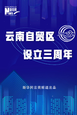 数看云南自贸这三年