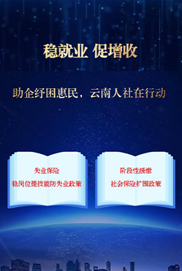 稳就业 促增收 助企纾困惠民，云南人设在行动