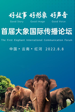首届大象国际传播论坛，来了！