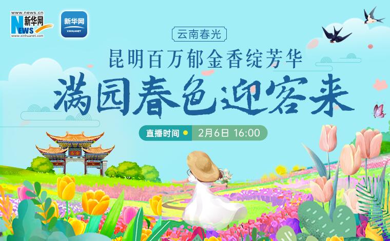 大美中国 | 昆明百万郁金香绽芳华 满园春色迎客来
