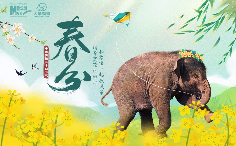 春分到 和小象一起去春遊吧！