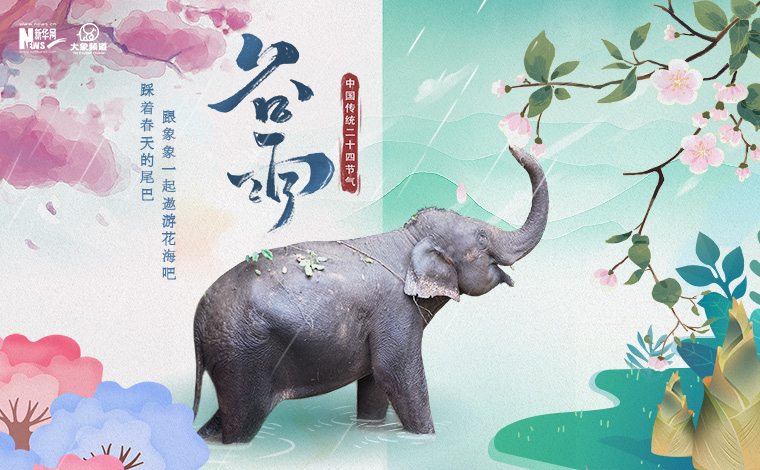 【“象”滇記之有一種叫雲南的生活】奔赴花海 不負浪漫