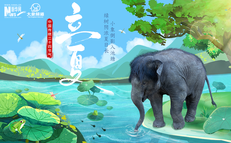 转眼立夏 和亚洲象一起迎接夏天