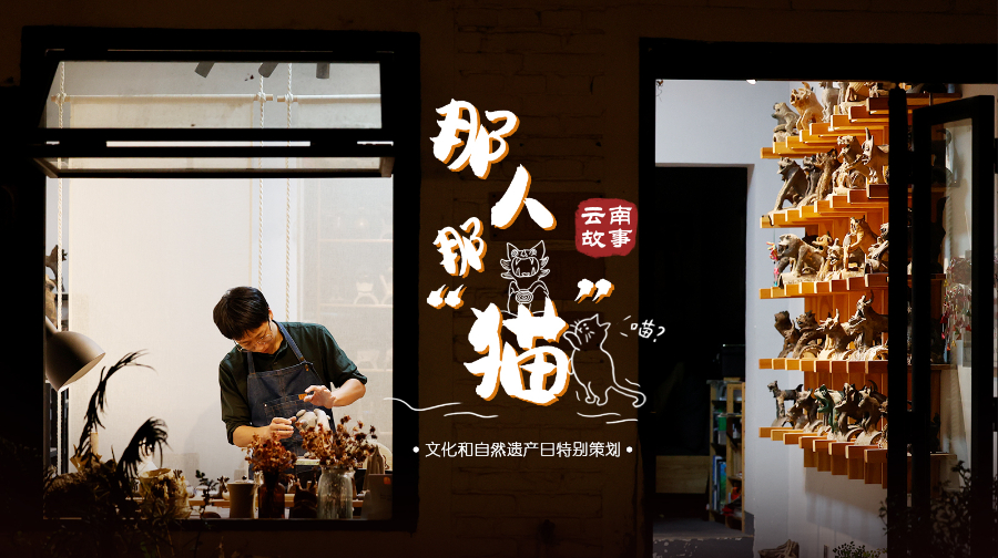 “90后”男生不上班、玩泥巴，家有500多只“猫”