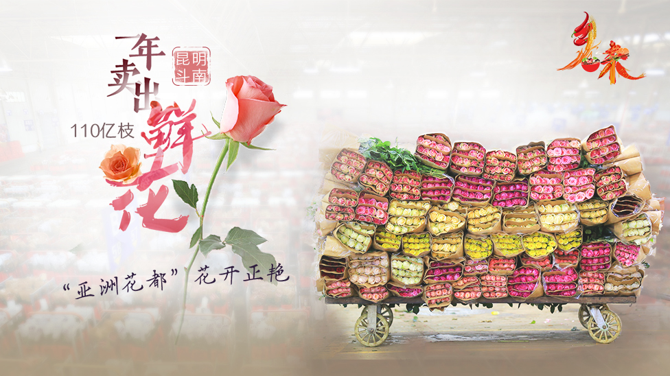 一年卖出110亿枝鲜花 “亚洲花都”花开正艳