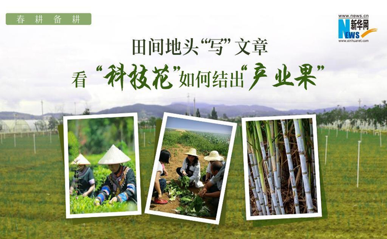 春耕备耕|田间地头“写”文章 看“科技花”如何结出“产业果”?