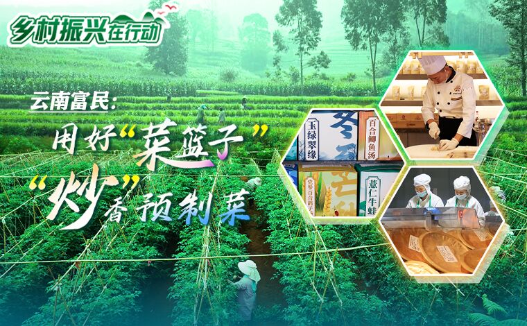 乡村振兴在行动｜云南富民：用好“菜篮子”“炒”香预制菜