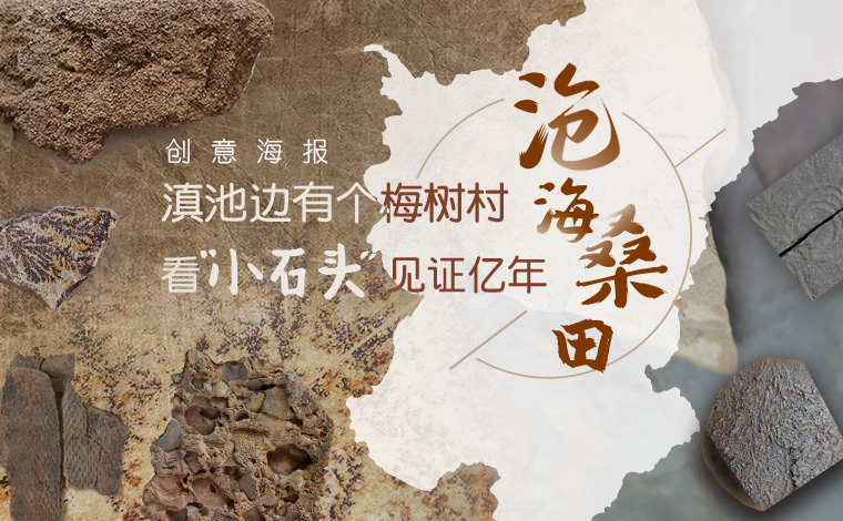 滇池边有个梅树村 看“小石头”见证亿年沧海桑田